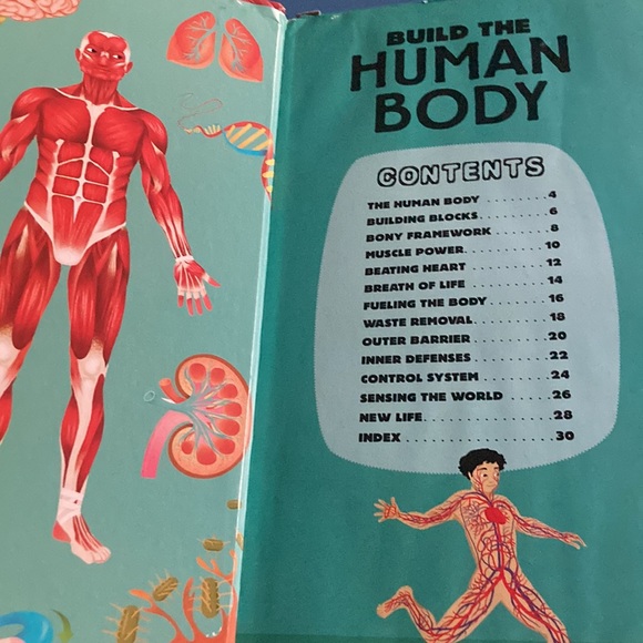None Toys Build The Human Body Book With Cardboard Model Pieces